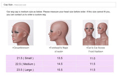 Princess Hair 13x6 Body Wave Lace Front Wigs Pre Plucked HD Transparent Frontal Wigs Human Hair Lace Front Wigs for Women